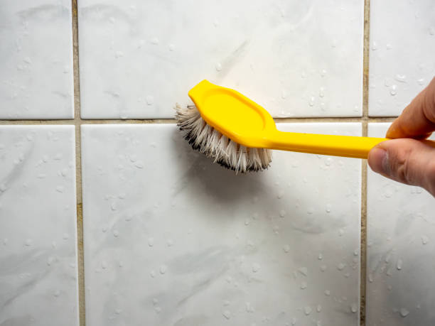 Best Office Mold Removal Services  in Oregon, IL