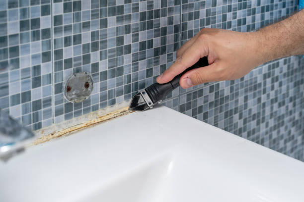 Best Mold Removal Process  in Oregon, IL