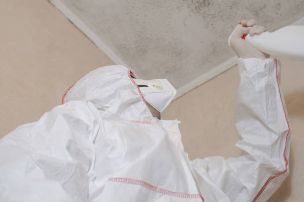 Best Mold Damage Repair  in Oregon, IL