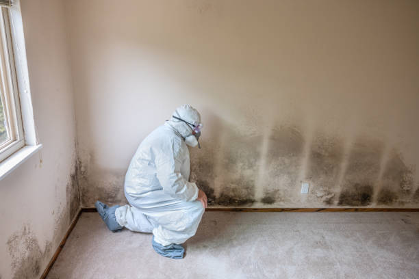 Best Mold Cleaning Services  in Oregon, IL