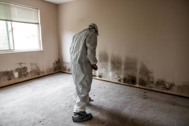 Best Emergency Mold Removal  in Oregon, IL